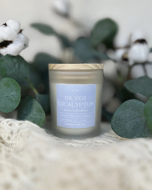 silver eucalyptus - solace collection