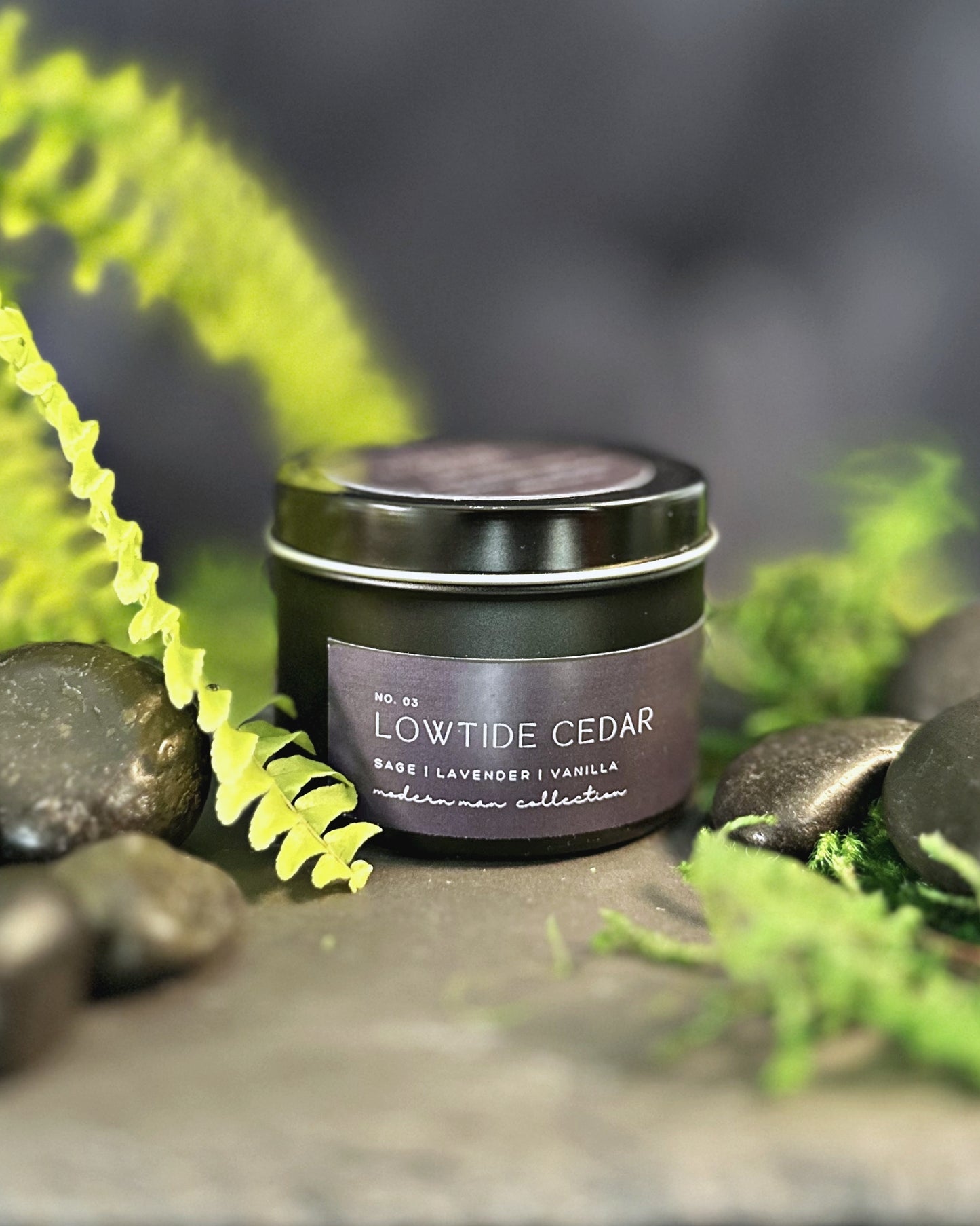 lowtide cedar - modern man collection